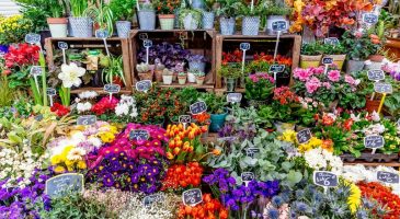 9 sites pour acheter ses fleurs en ligne