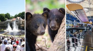 Sorties en famille : 11 choses à faire pour divertir les enfants