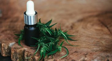 CBD : tout savoir sur ses bienfaits et comment l’utiliser