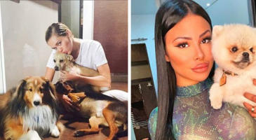 Le top 15 des stars et leurs chiens