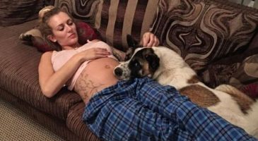 Elle croit que son chien lui a sauvé la vie et celle de son bébé à cause de ce comportement très étrange