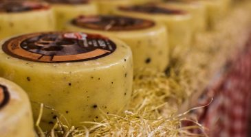 Voici le fromage élu “meilleur du monde” (et la France n'est pas sur le podium)